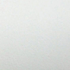 麗綺(輕塗)VS5200