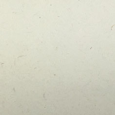 FSC再生稻香YL2401