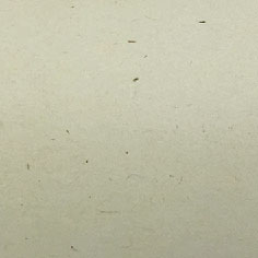 FSC再生稻香YL2402