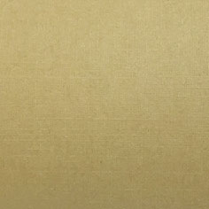 萊妮(多色)KE1212