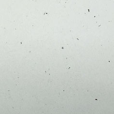 美國環保(再生)KG2161