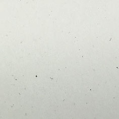 美國環保(再生)KG2162