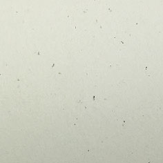 美國環保(再生)KG2163