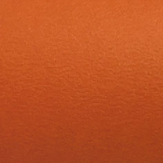 高麗米堤(多色)XA1210