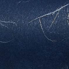 日本木須龍SL1207