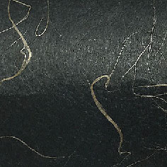 日本木須龍SL1208