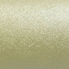 斜織紋(單面)LB1202